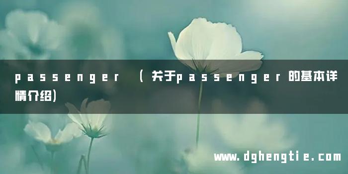 passenger (关于passenger的基本详情介绍)